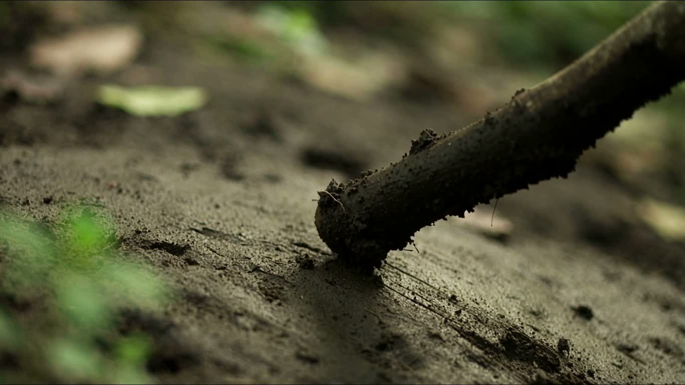 Imprints and Fading in the Soil