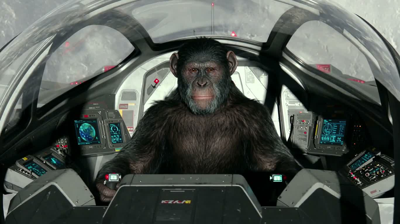 Monkey Moon Voyage — AI video creation