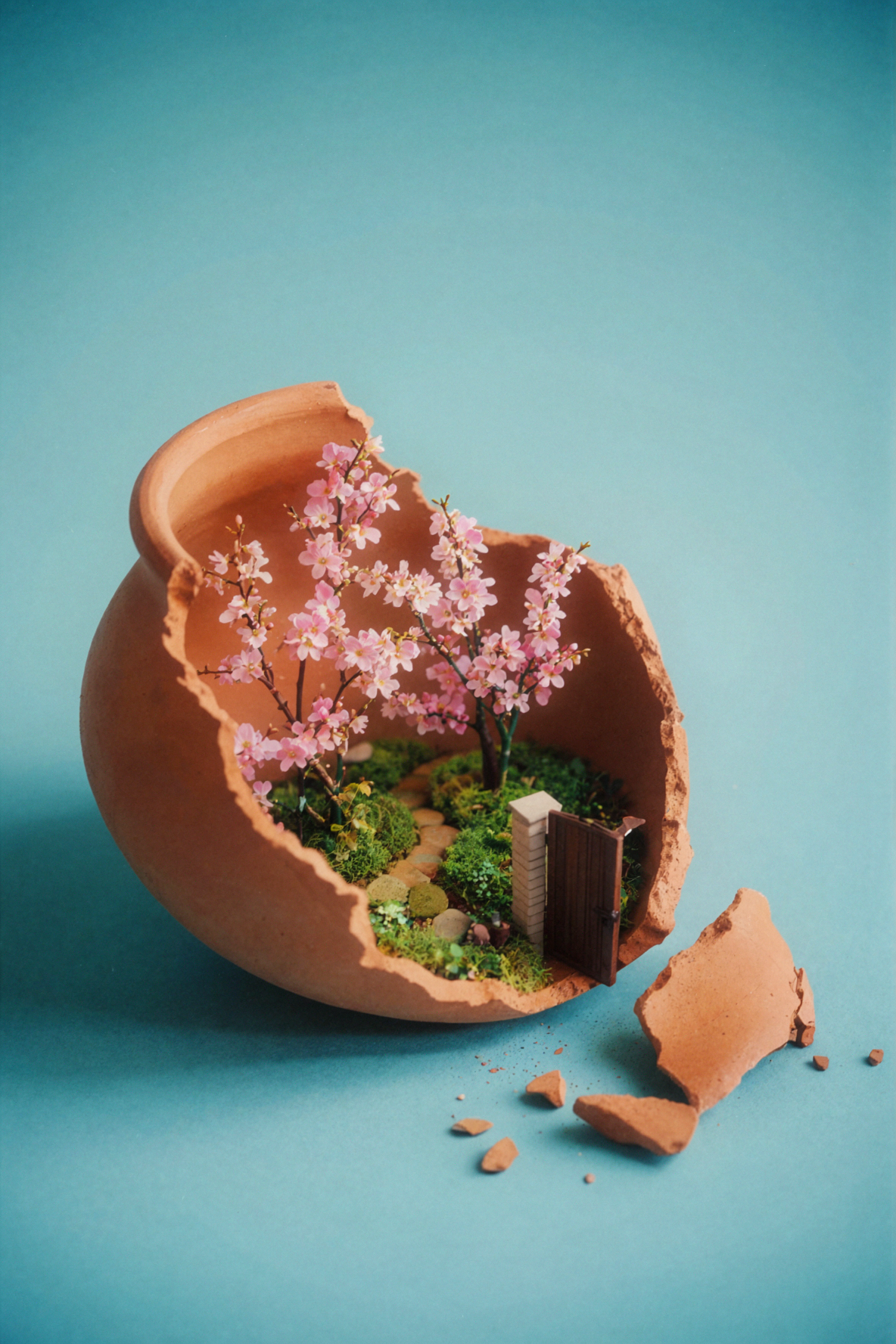 Printemps en pot de terre · Film vintage