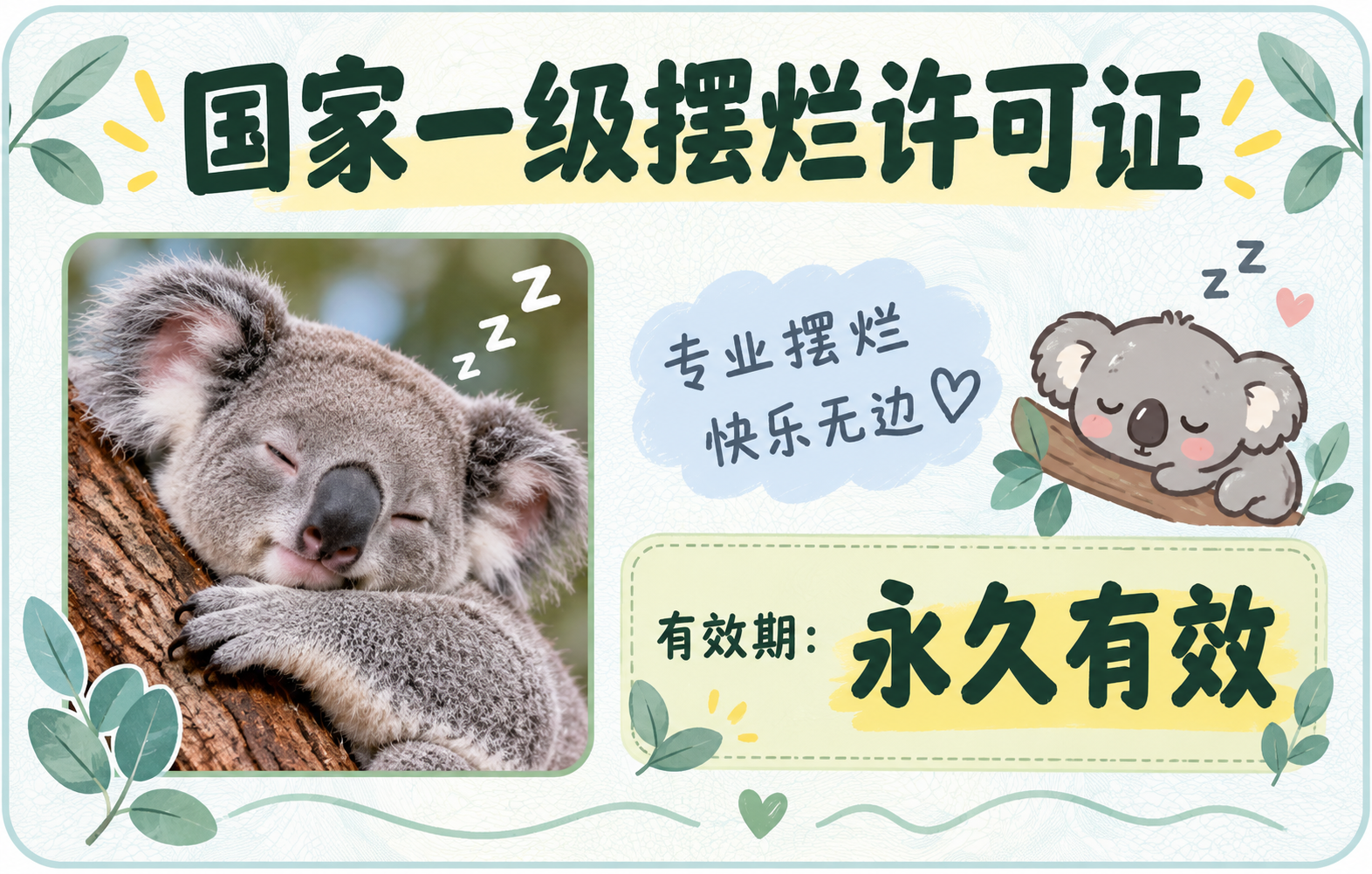 国家一级摆烂许可证