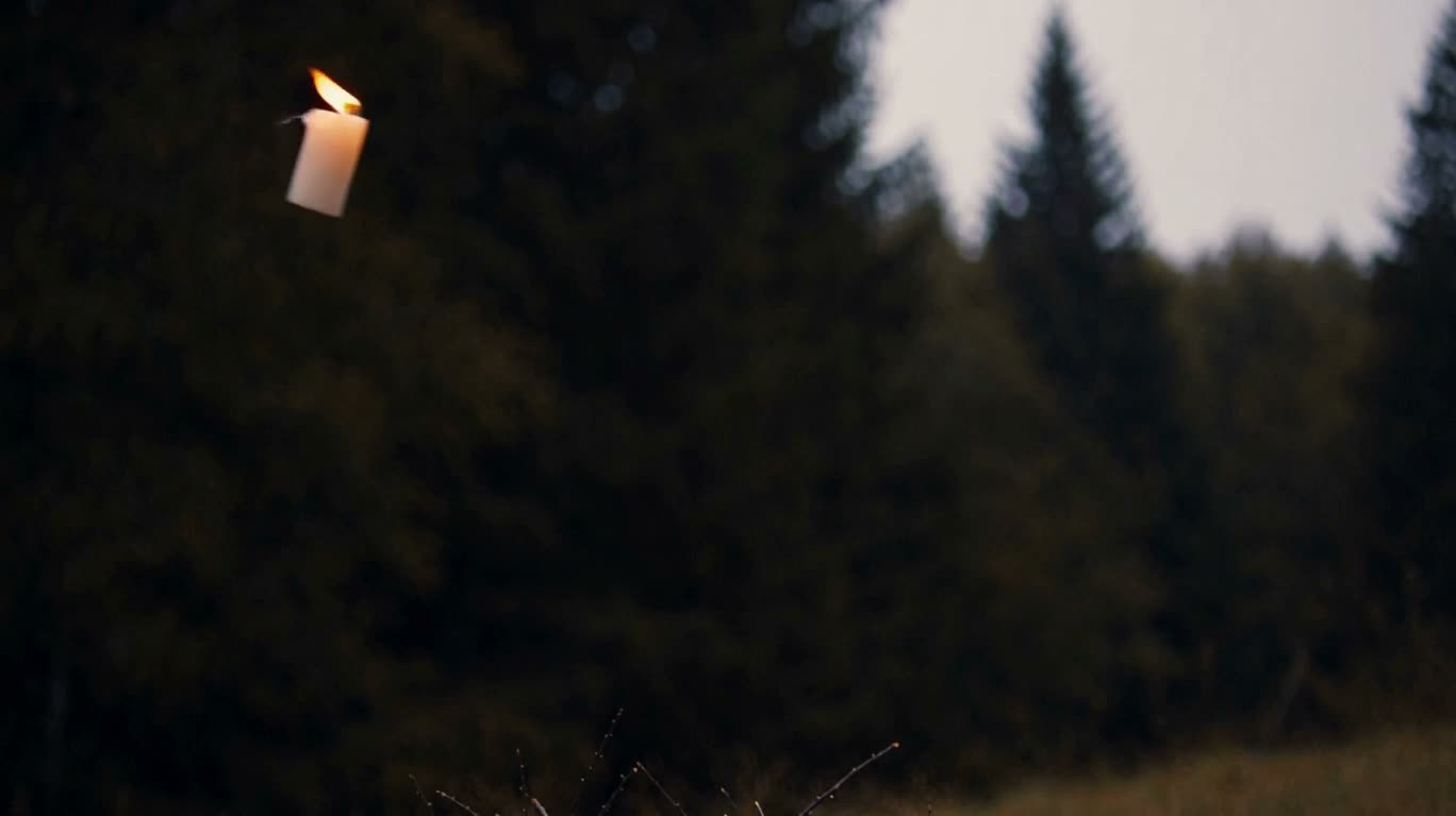 Burning Candle Falling onto Dry Branches