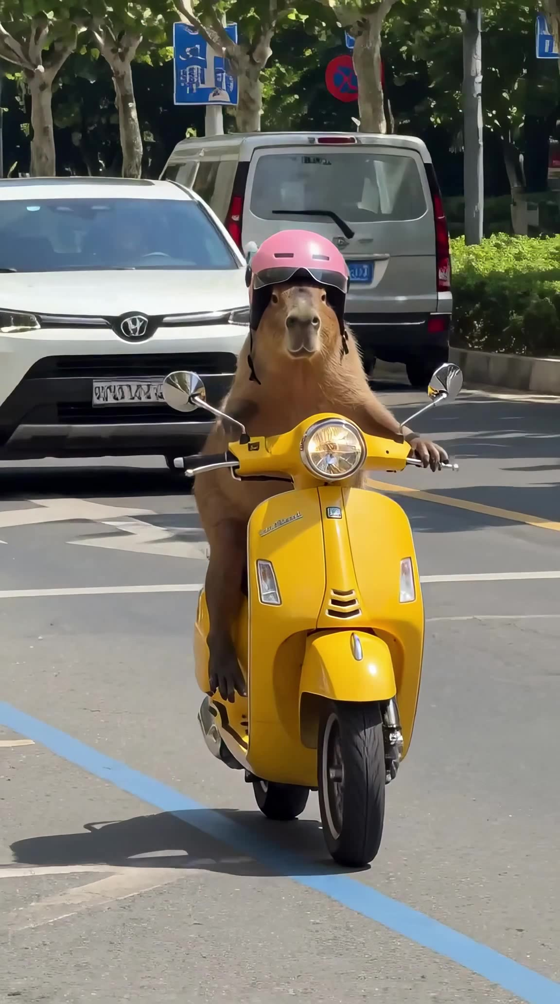 卡皮骑车 20秒