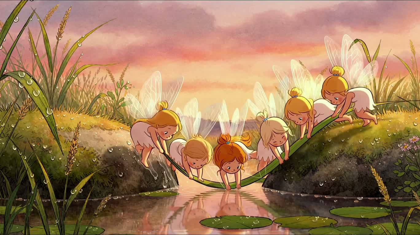 露珠草桥与花园猫