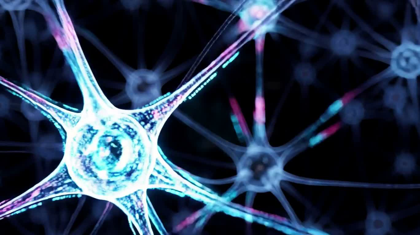 Buổi ra mắt sản phẩm ba chiều trong mạng nơ-ron