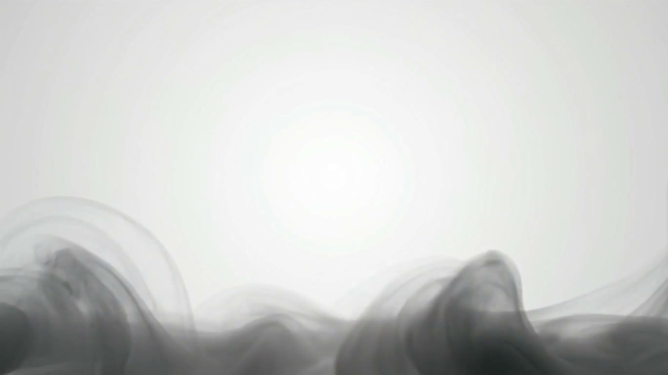 Rừng trong sương: khu rừng thu nhỏ giữa làn sương trắng — AI video creation