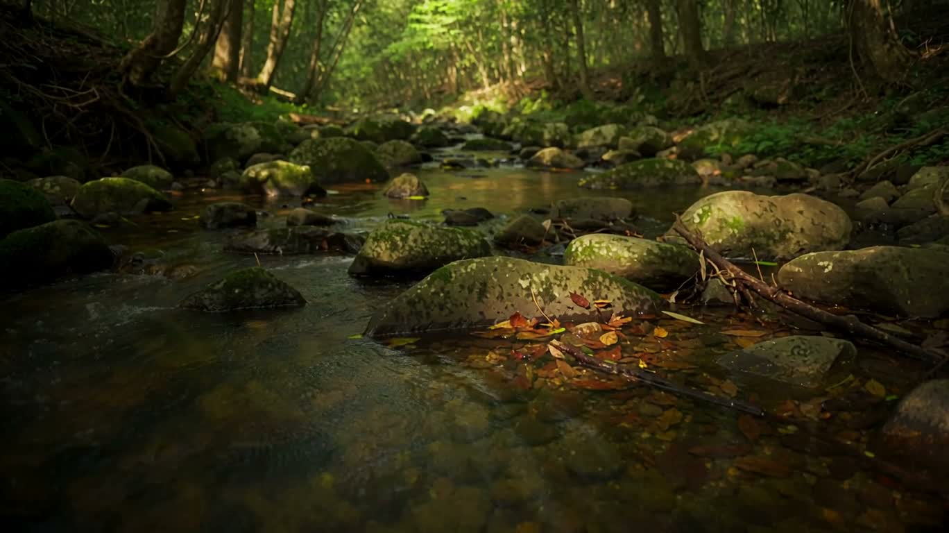 A Quiet Miniature Scene of a Forest Stream and Fallen Leaves