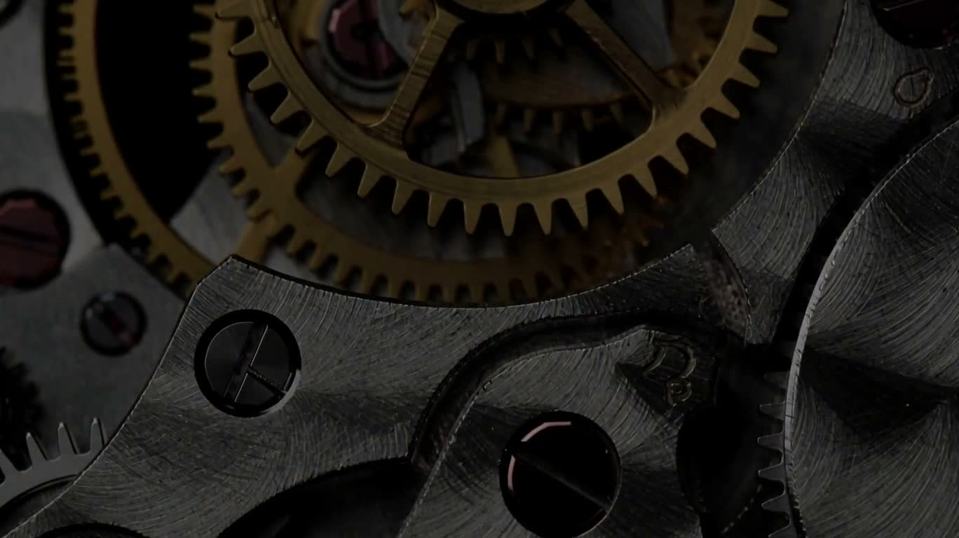A Microscopic Journey Through a Mechanical Watch Movement