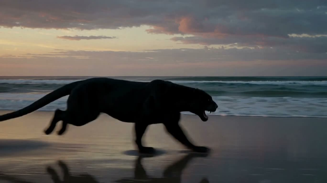 夕暮れの海岸の生命変幻