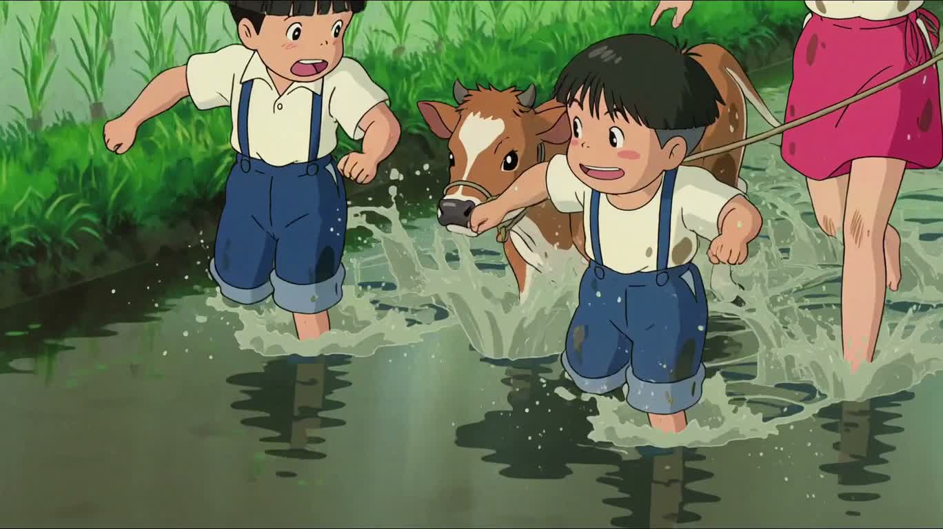 Chasing Cattle Through Rain-Soaked Rice Fields
