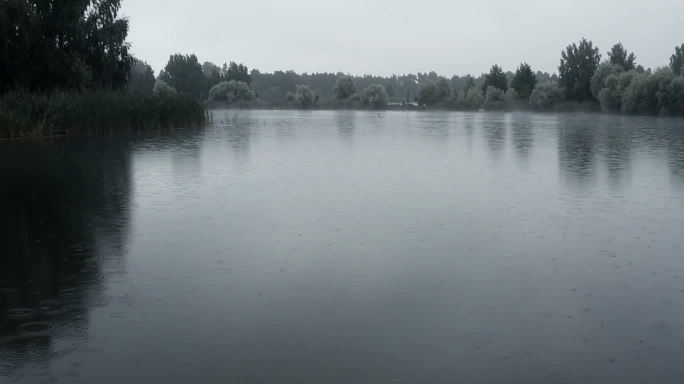 雨落静湖