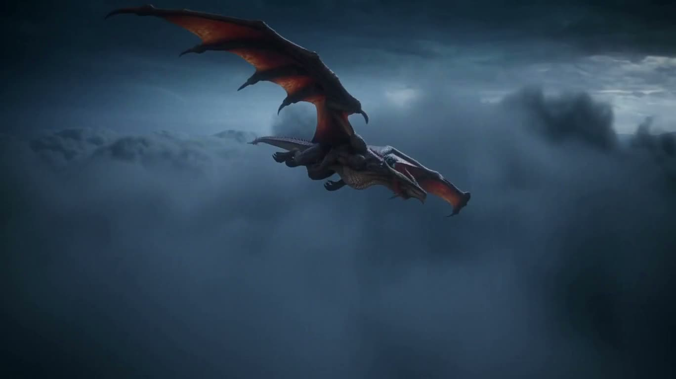 嵐雲の中の竜騎士空中戦