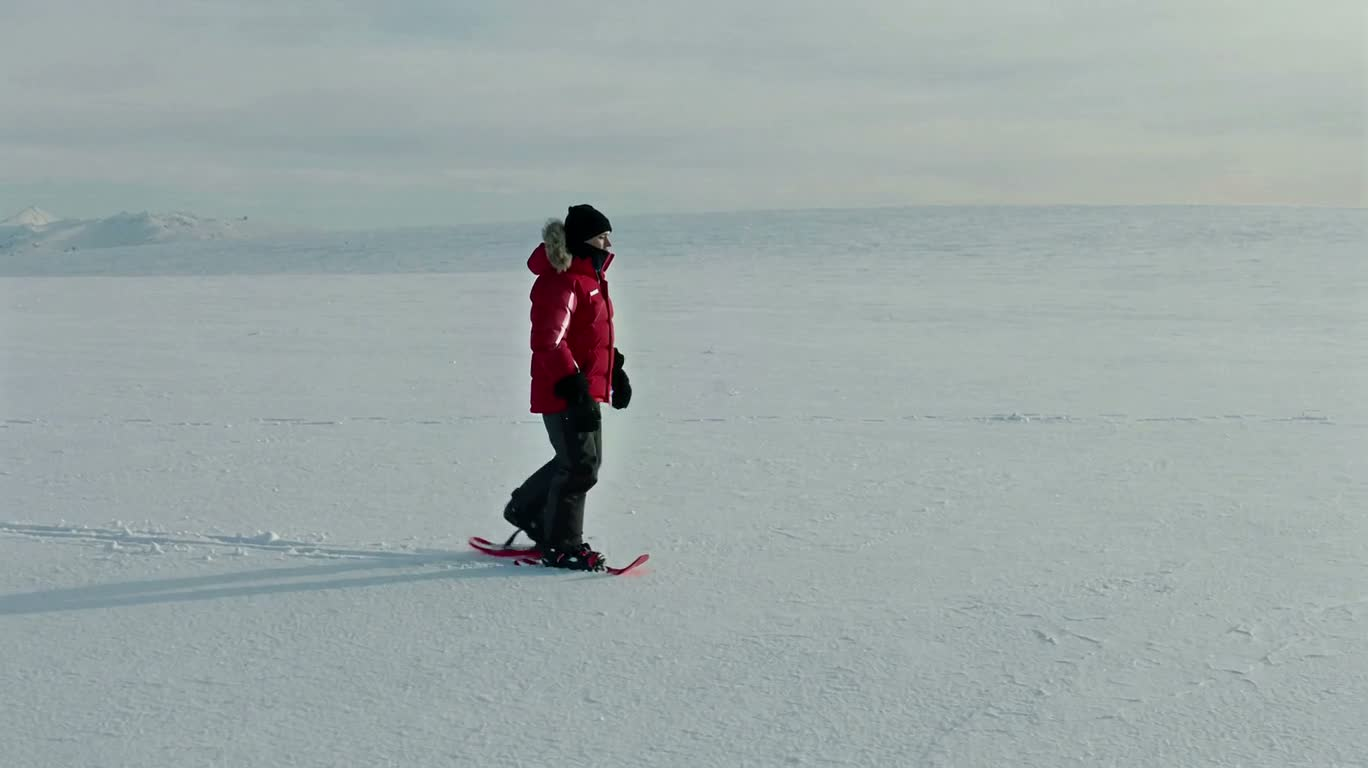 Walking Alone in the Snowfield