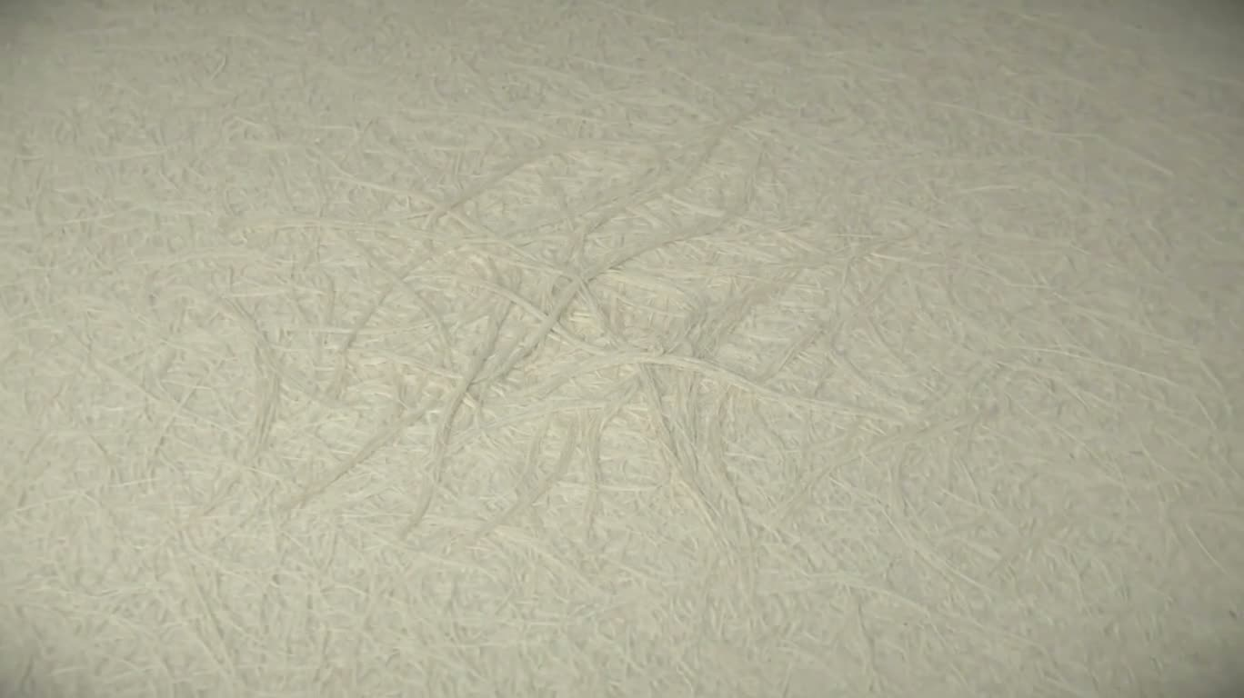 Micro-forêt de fibres de papier