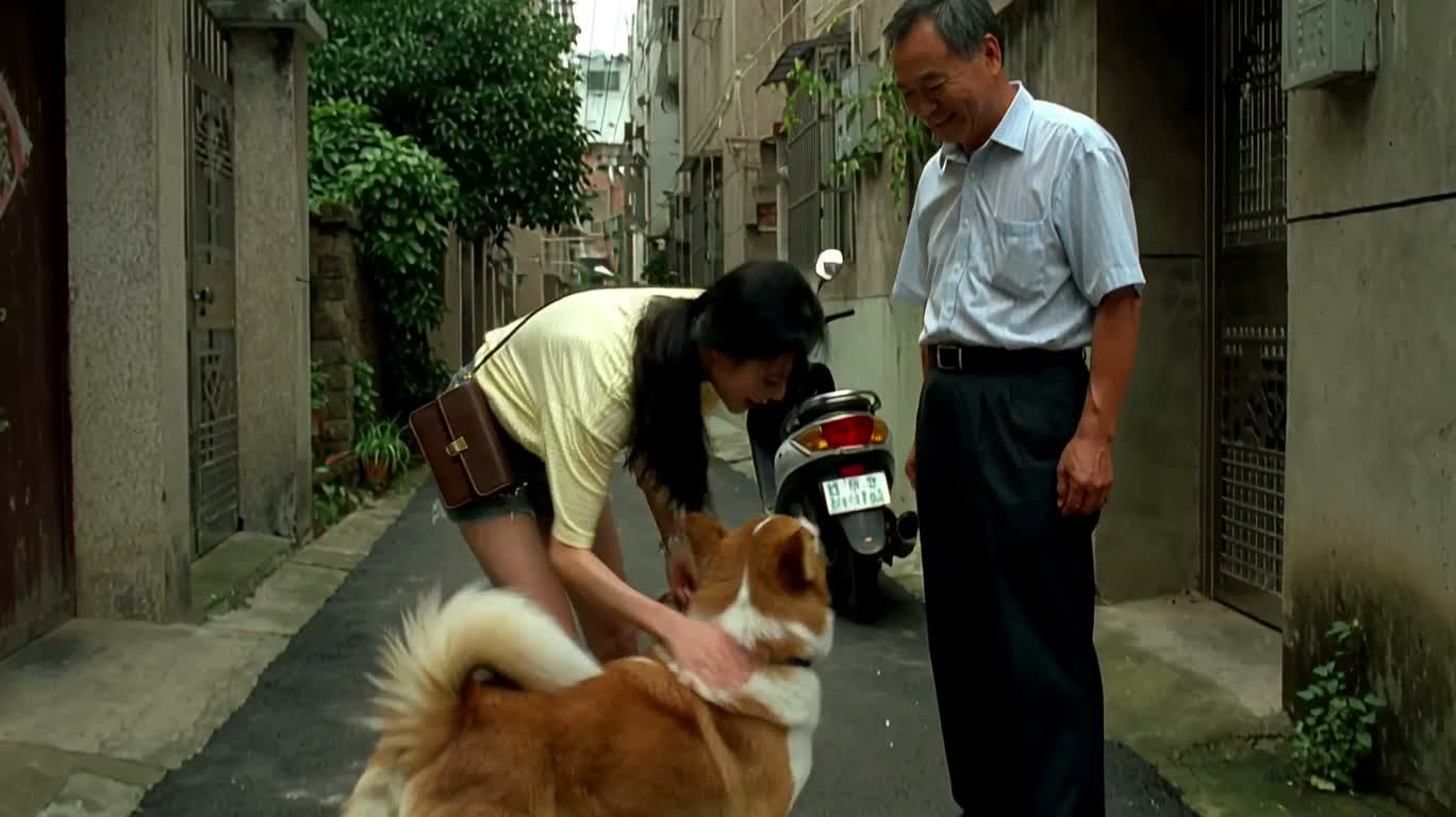 Promenade estivale du chien dans la ruelle