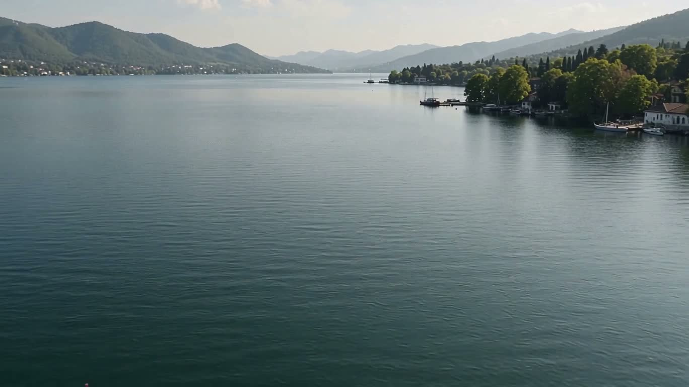 梦海折叠档案馆