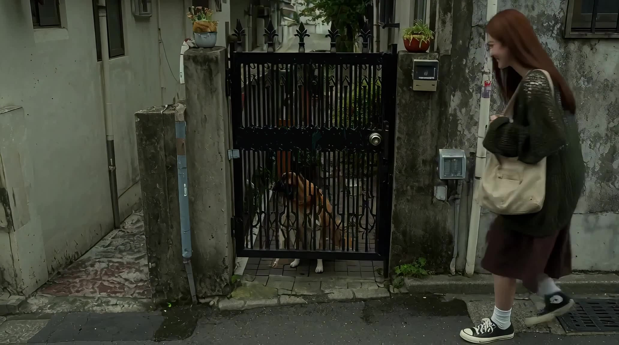 首尔午后散步 25秒