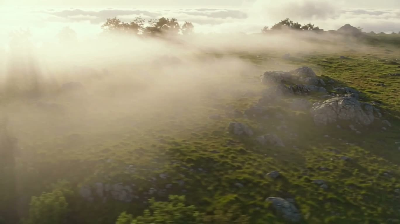 Остров, парящий в море тумана