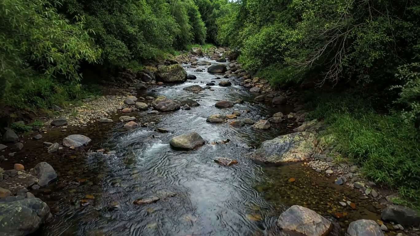 峡谷の小川を上流へ旅する