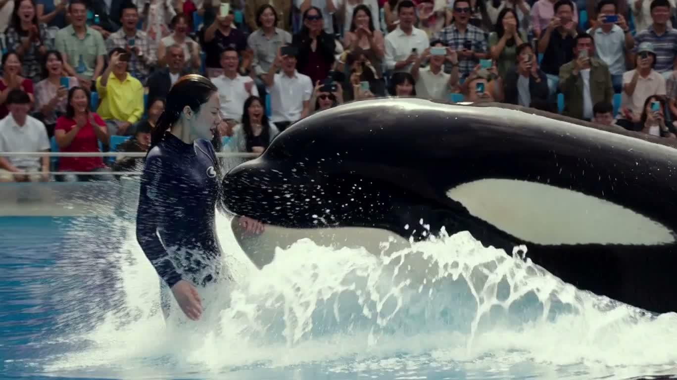 Orca Ambush by the Pool — AI video creation