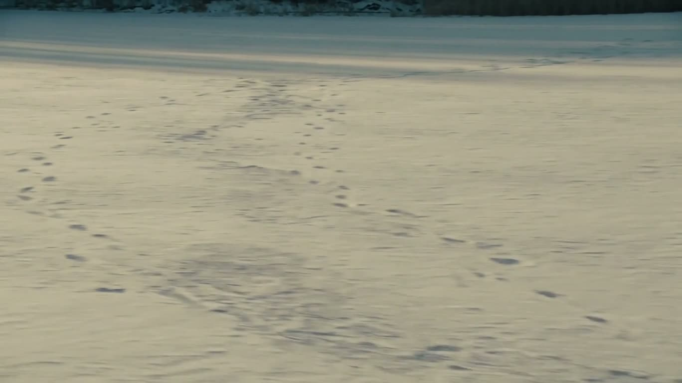 冬の湖の静寂
