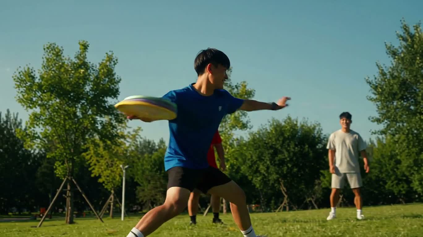 Frisbee Time in Sunshine Park