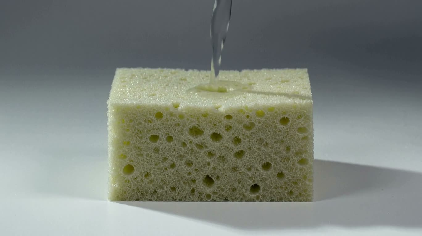 Sponge Absorbing Water and Expanding