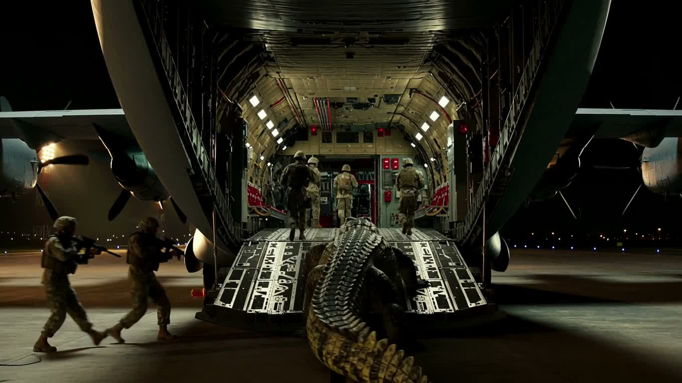 Crocodile Blocking the Cargo Plane's Boarding Stairs at Night