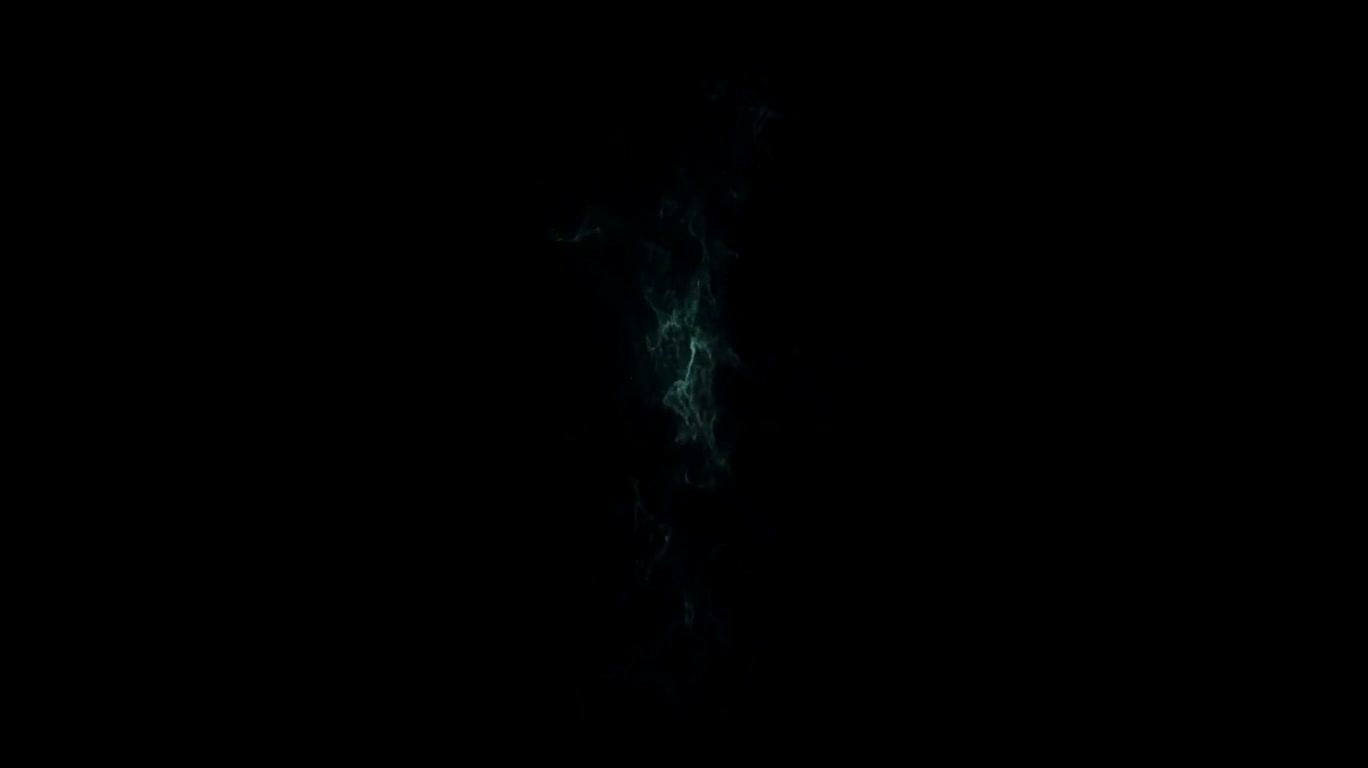 Ink-Blade Calligraphy Logo Reveal