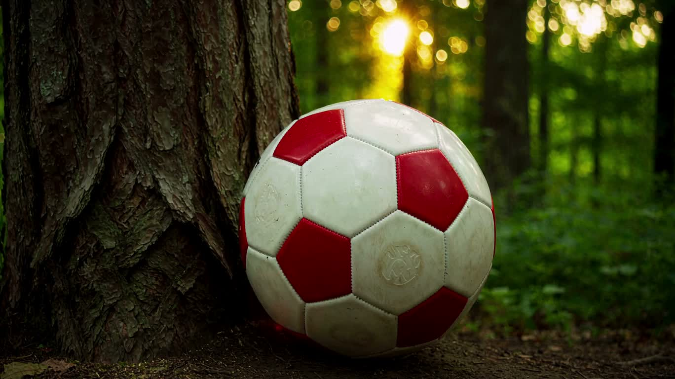 森のサッカー衝突