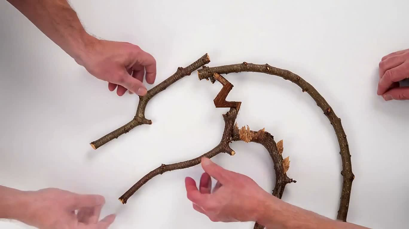 Đầu rồng stop-motion từ vật liệu tự nhiên