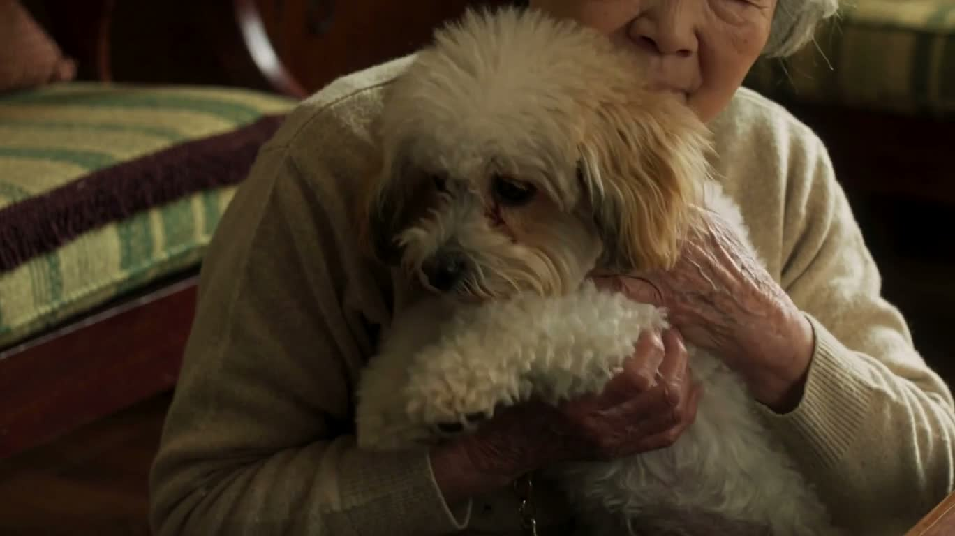 奶奶与爱犬的温柔相拥