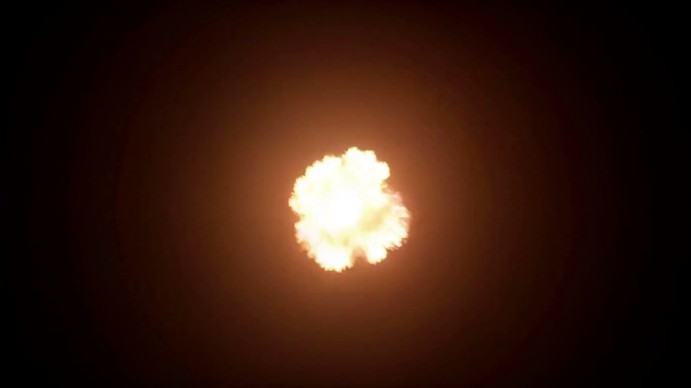 Vision of the Blazing Wolf Head
