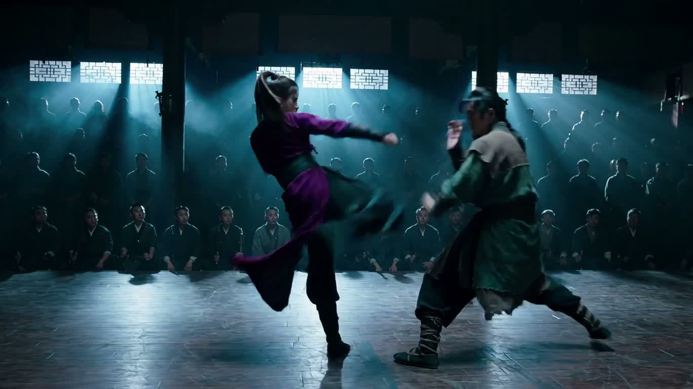 紫衣女侠与绿衣武者的决战