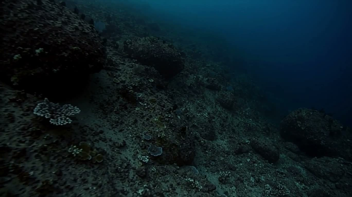 深海海沟