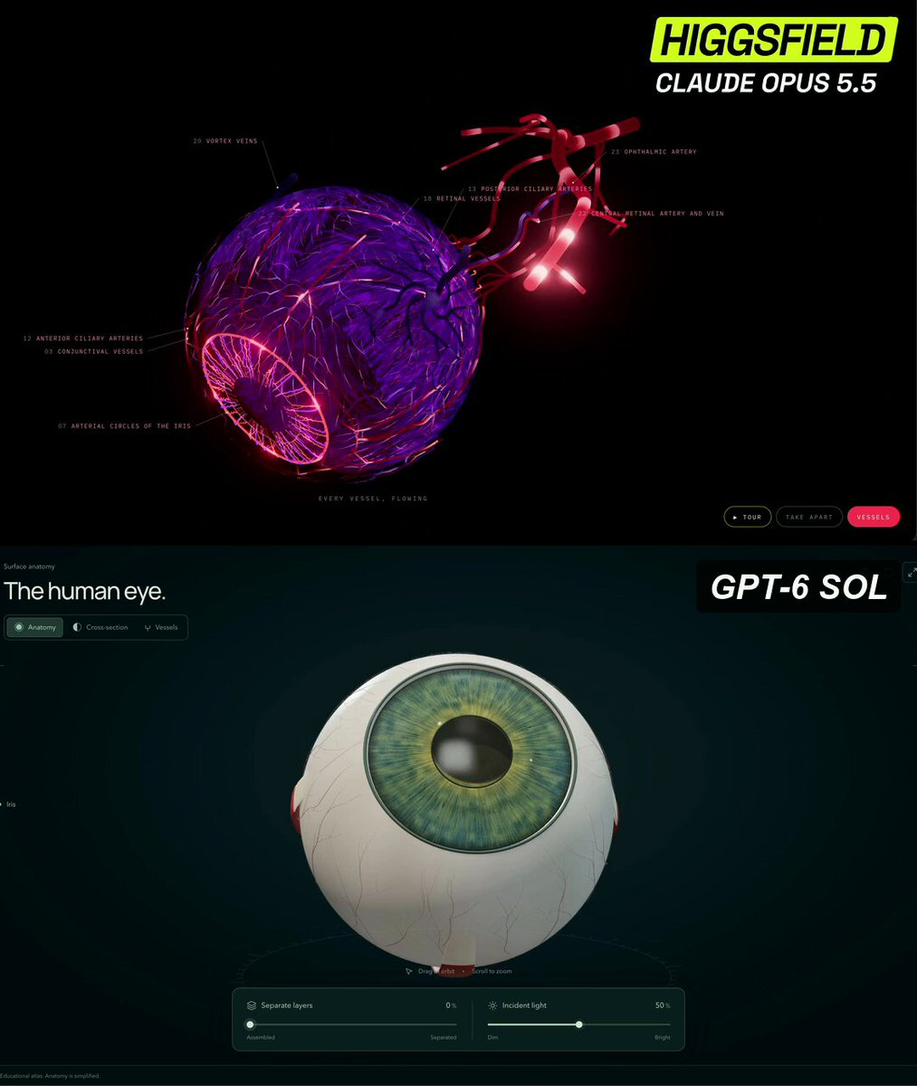 交互式3D眼球解剖模型对比