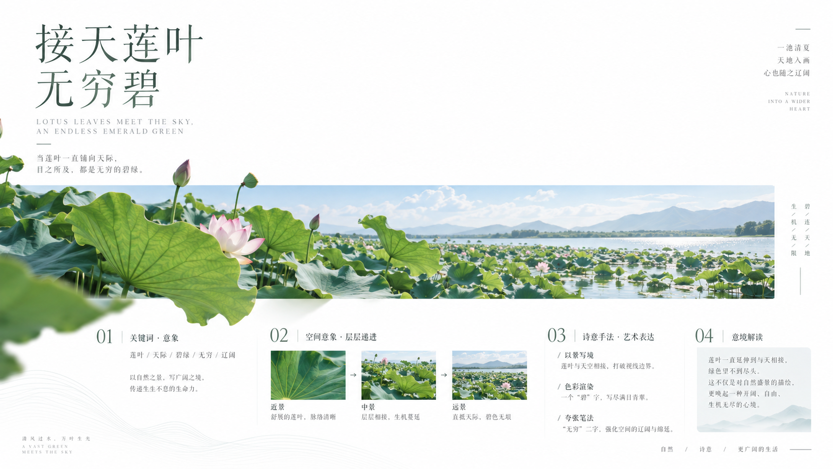 接天莲叶无穷碧|极简诗词鉴赏海报