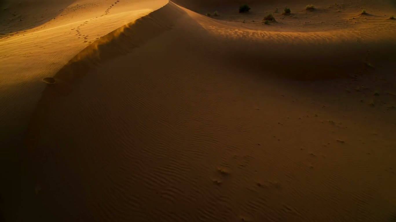 Flowing Long Shadows on Sunset Dunes