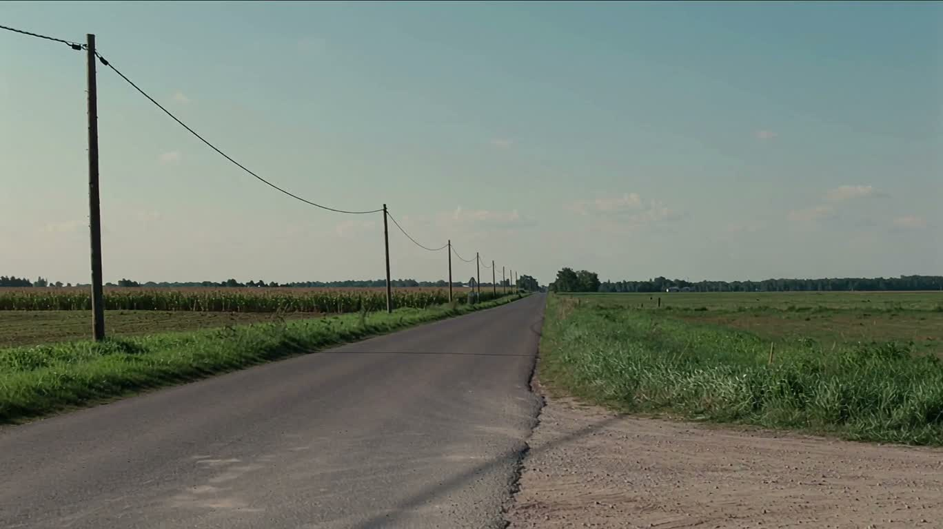Country Road with Utility Poles — AI video creation