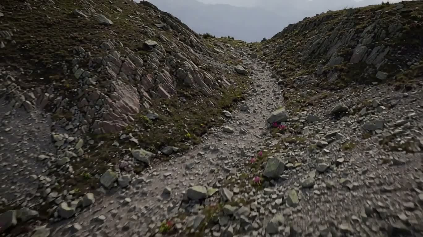 Wind-Eroded Mountain Pass and Alpine Flowers