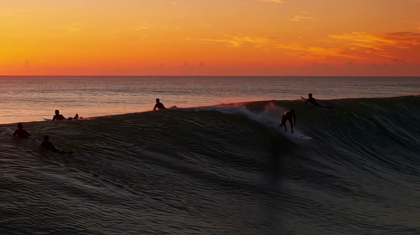 Lone Surfer in the Dawn Swell
