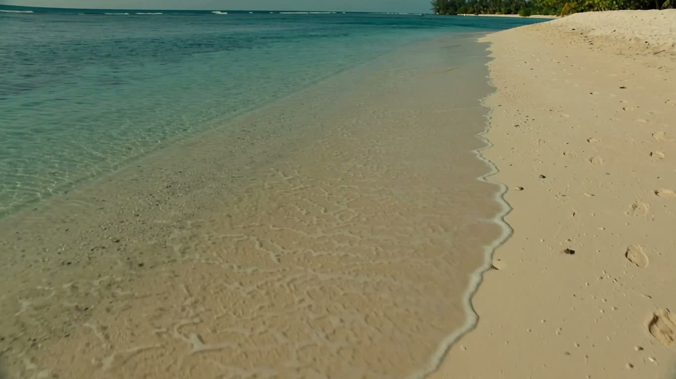 Côte tropicale capturée dans la paume