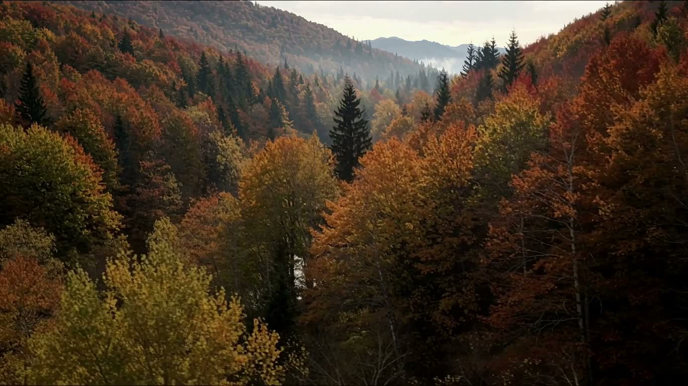 Vallée d'automne tardif et rivière sinueuse