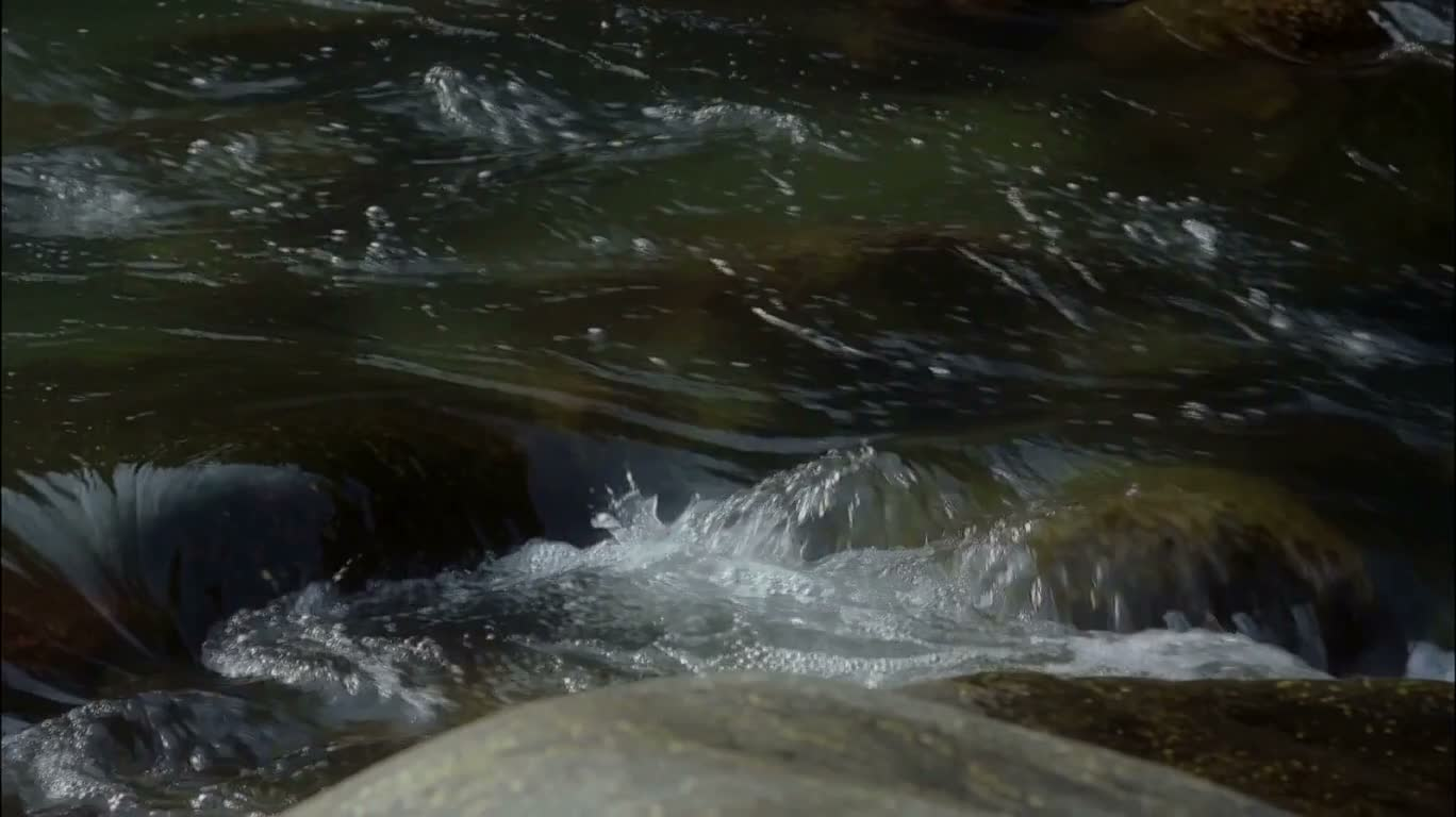 Dark Rocks and Flowing Water