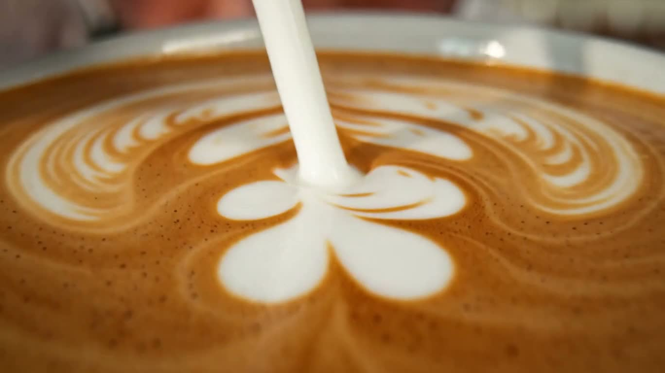 La toile de mousse du barista
