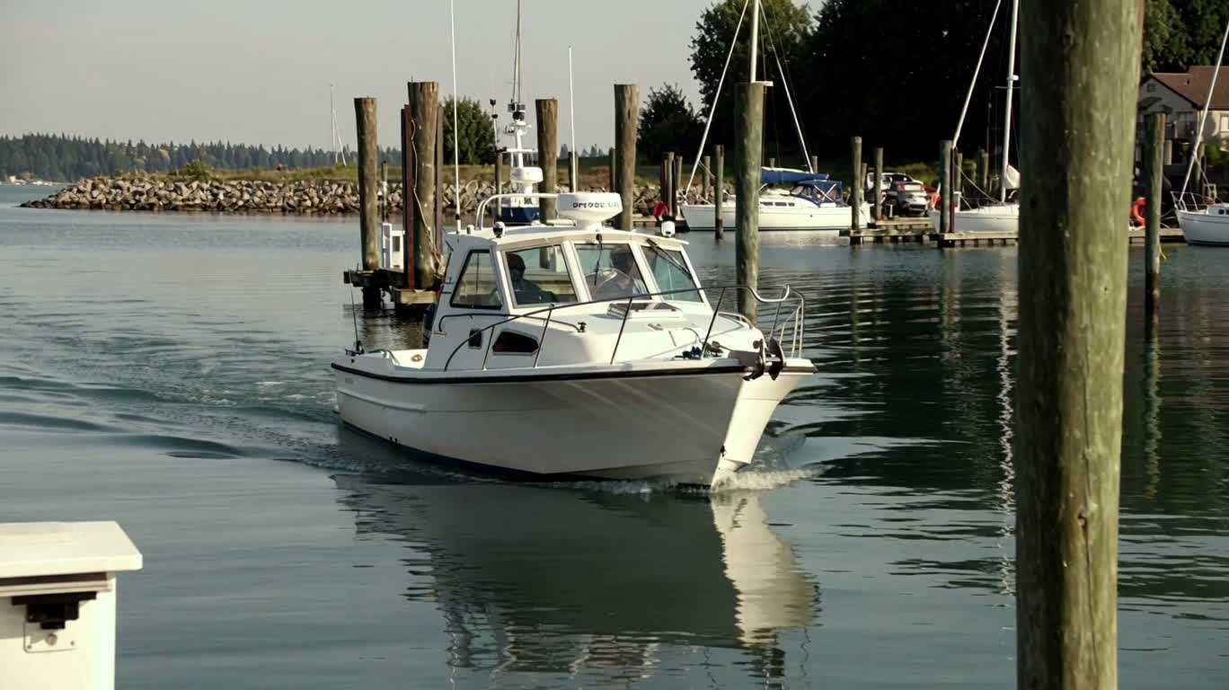 Port calme, bateaux amarrés — AI video creation
