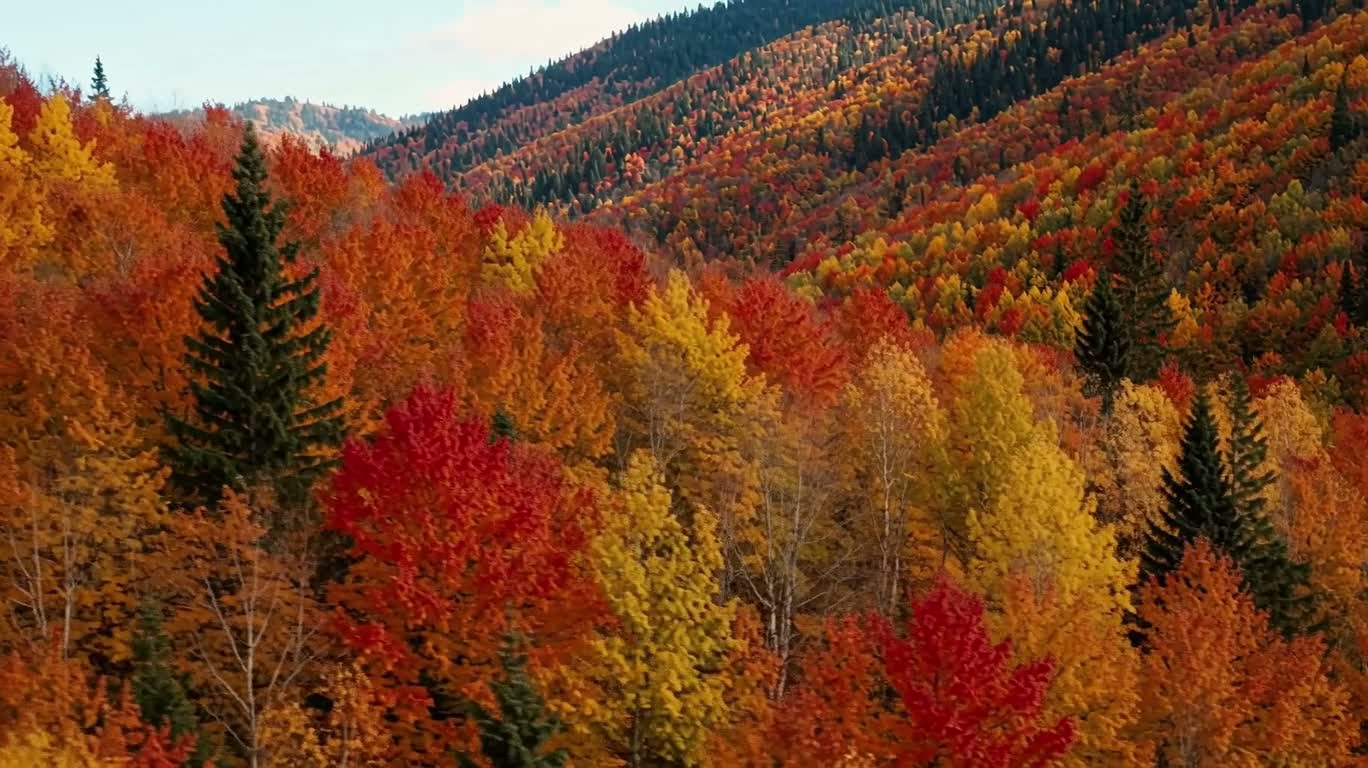 Autumn Valley Tour