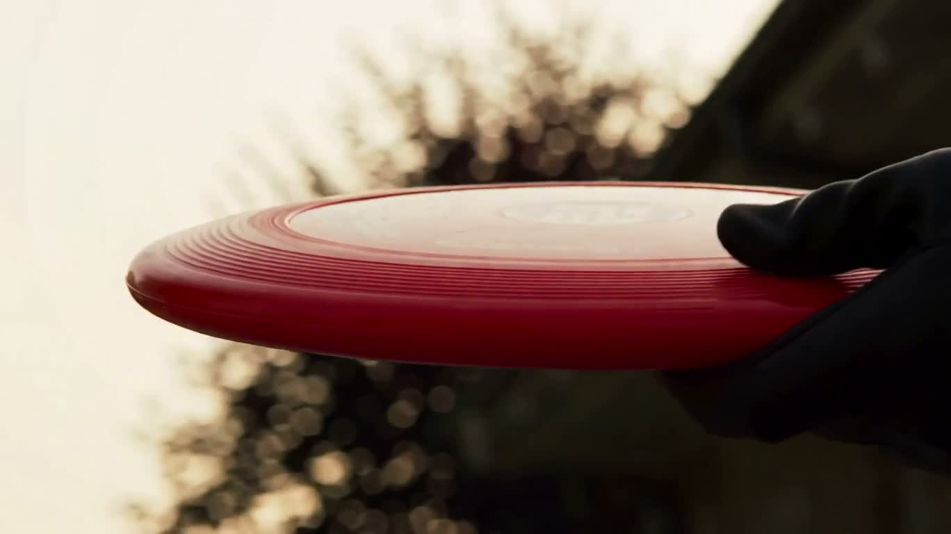 Red Frisbee at Golden Hour