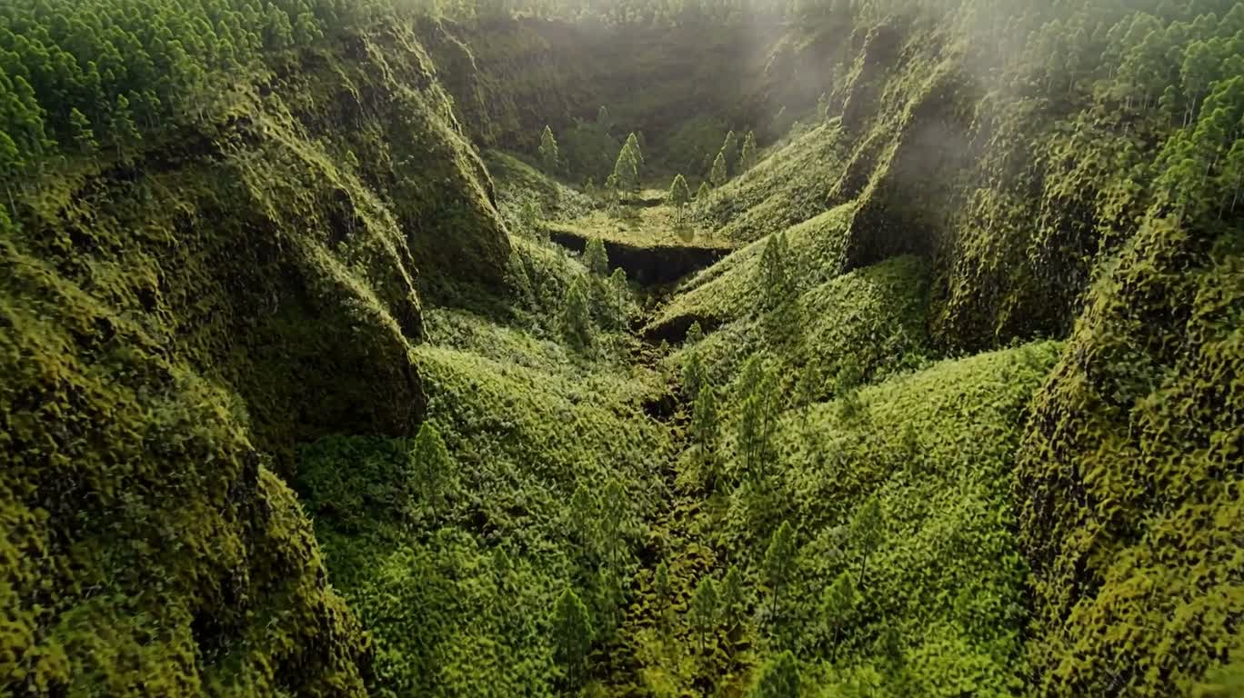 火山口中的隐秘绿洲 — AI video creation