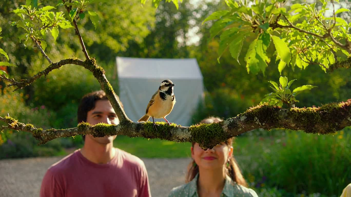 Bird Songs Turn into Bubbles — AI video creation