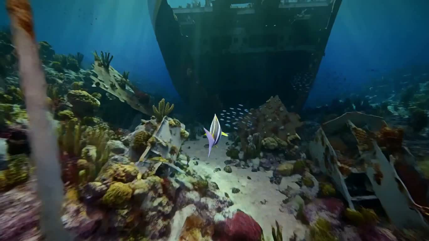 Exploration FPV continue d'une épave géante en haute mer